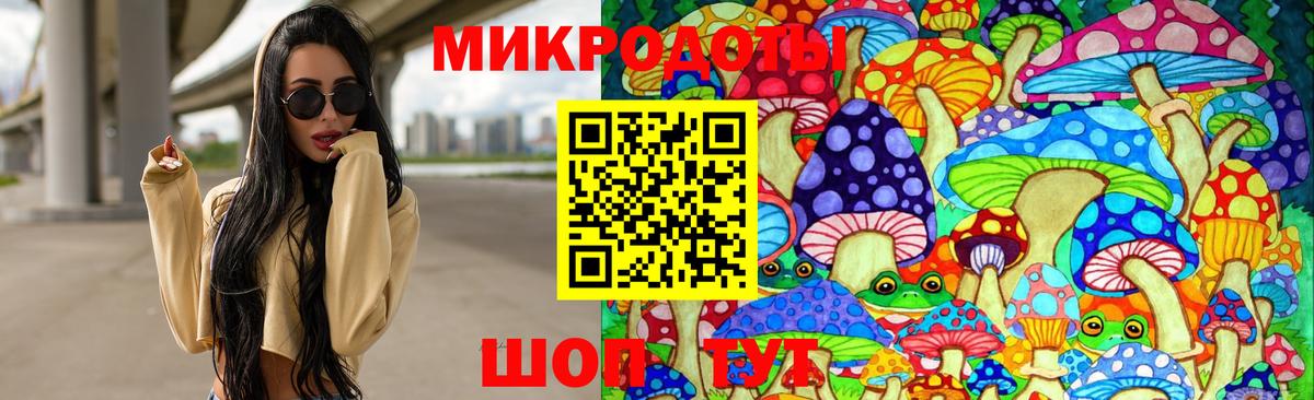 Галлюциногенные грибы GOLDEN TEACHER  Вход с VPN  Галлюциногенные грибы ЛСД  Камышлов 