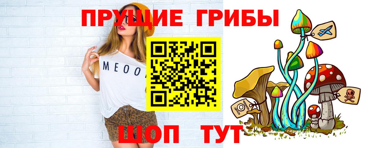 Псилоцибиновые грибы Psilocybine cubensis Камышлов